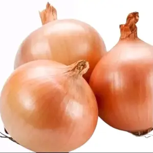 1 KG Bawang Bombay Segar Cocok Untuk Bumbu Kemasan 1Kg - Produk Organik