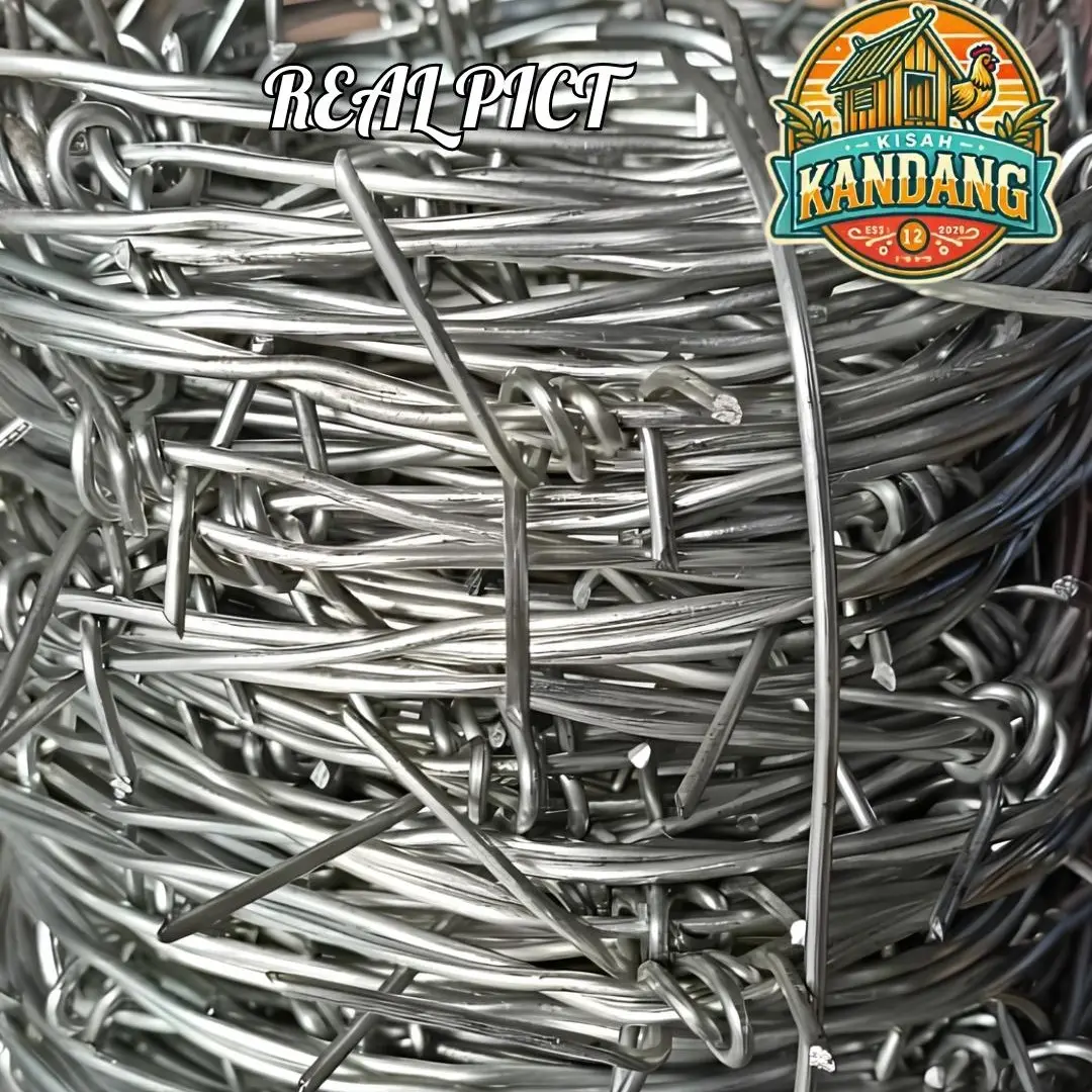 Kawat Duri All Variasi Galvanis Anti Karat Solusi Keamanan Rumah Outdoor Minimalis