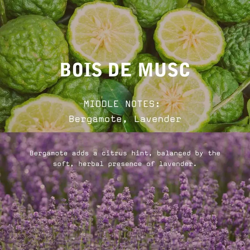 Labcitane Bois de Musc - Eau de Parfum 2