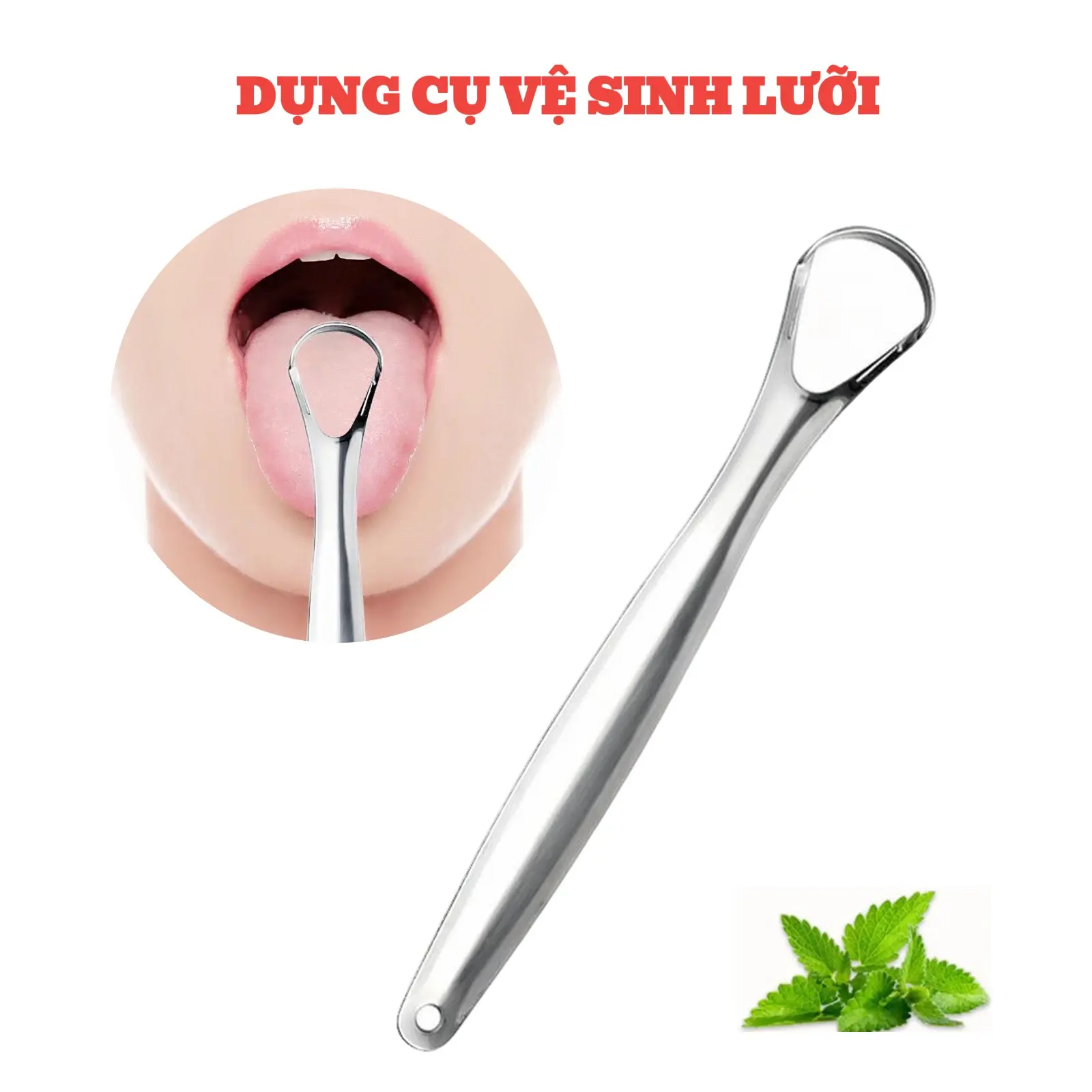 Dụng Cụ Vệ Sinh Lưỡi Cao Cấp, Cây Cạo Lưỡi Sạch Inox 304, Loại Bỏ Và Làm Sạch Vi Khuẩn Trên Bề Mặt Lưỡi Súc Miệng Nước Súc Miệng Muối Xịt Thơm Miệng