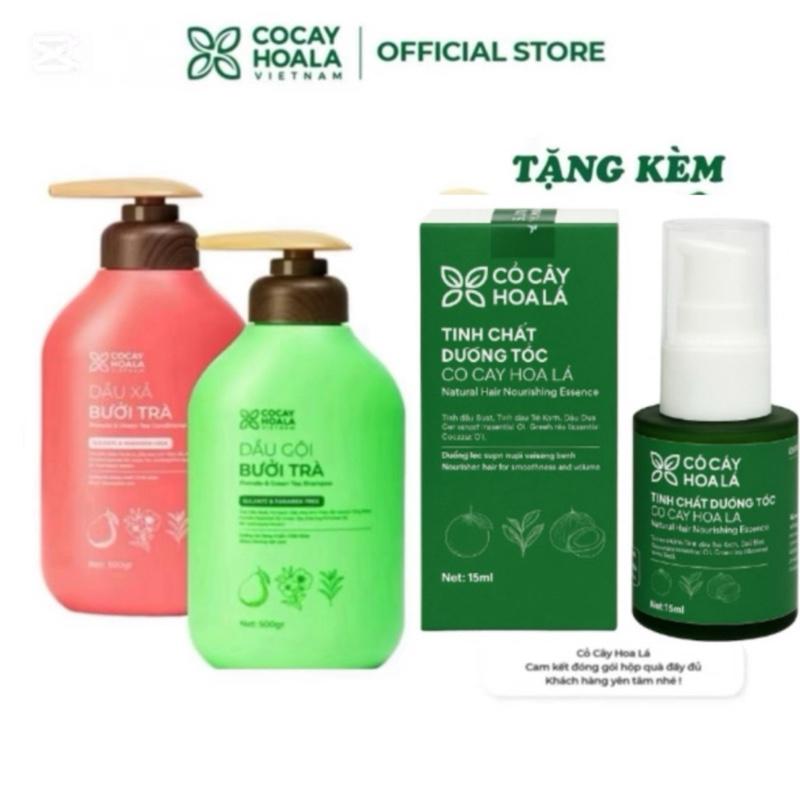 Combo Dầu Gội Xả Bưởi Trà Cỏ Cây Hoa Lá Việt Nam, Hỗ Trợ Dưỡng Tóc Chắc Khỏe Mềm Mượt Tự Nhiên, Hỗ Trợ Sạch Bết Dầu Gàu - Dung Tích 1000g dau hoatra goixa 2in1 daucap chinhhang
