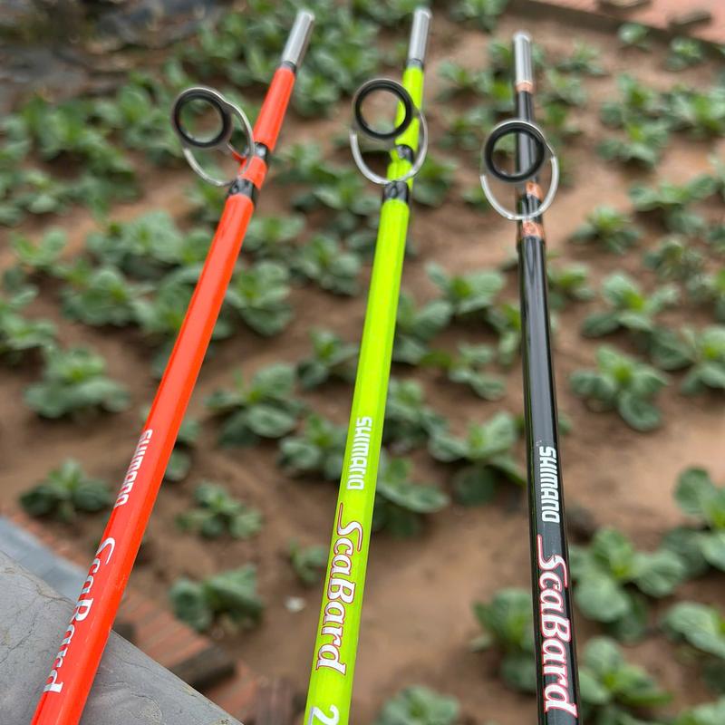  Cần Câu Cá 2 Khúc Đặc Câu Ngâm Câu Lăng Xê Tải Tĩnh 5kg Tải Cá 7-15kg Bắt Cá Fishing Cán Mút Pad Máy Chắc Chắn 