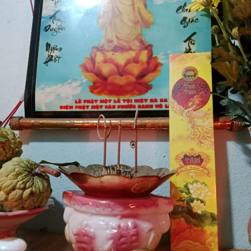 Alofa Nhang Phong Thủy Tuệ Tâm 114 Nén - Sản Phẩm Tự Nhiên An Toàn Cho Sức Khỏe & May Mắn 4