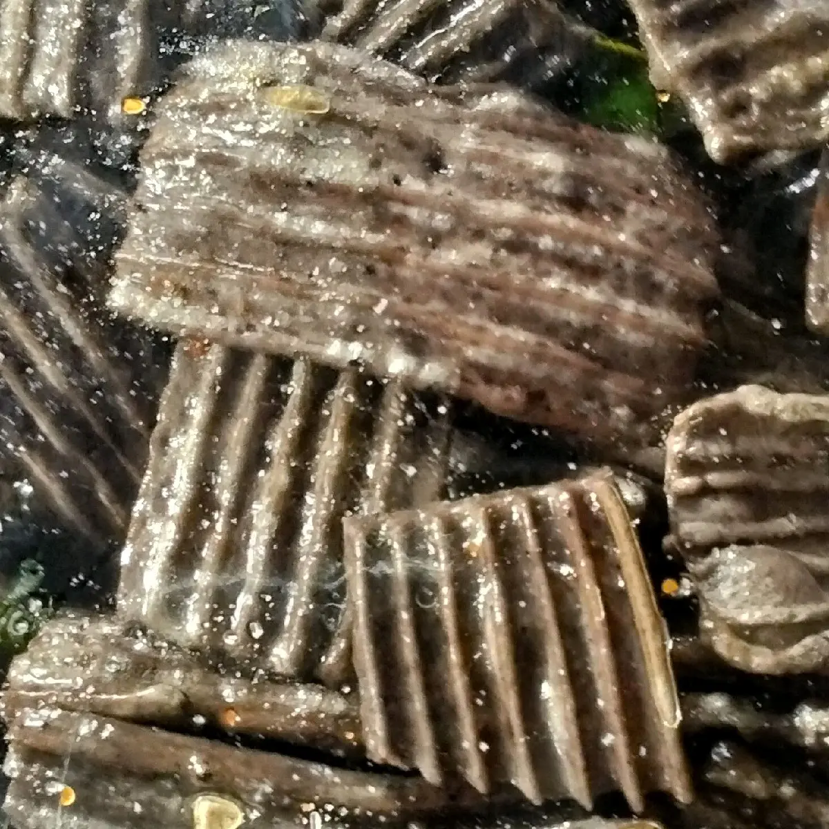 peromo 500 grm seblak kering kerupuk jengkol rasa original daun jeruk