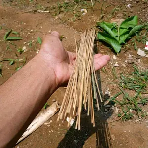 Tajuk Sukhoi 49cm Diameter 3mili 100 Batang untuk Penggunaan Outdoor