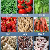 Gambar Mesin Pengupas Pembersih Kupas Machine Kentang Jahe Singkong HD-1100 2.2kw 220v Otomatis Serbaguna untuk Sayur Buah Seafood Daging Mesin Serbaguna Cuci Sayur & Seafood - Jahe, Kentang, Kerang Mesin Pengupas Kentang & Pencuci Kerang Otomatis Kitchenware dari Poseidonpump Kota Administrasi Jakarta Utara 3 Tokopedia