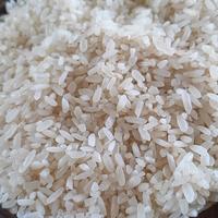 Gambar Beras Pandanwangi Organik 1kg dari Pondok Alam Kab. Sleman 1 Tokopedia