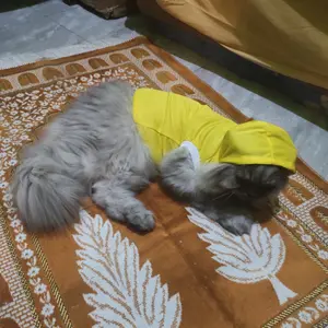 KITTYDOM Hoodie Kucing Jaket Kupluk Baju Kucing Anjing Tanpa Lengan Kitten Puppy Kelinci Monyet Baju Hoodi Hewan Plus Penutup Kepala