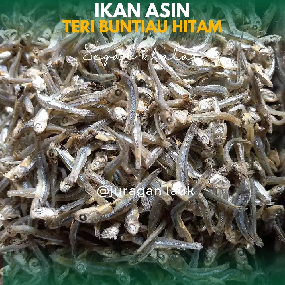 Teri buntiau hitam ikan asin termurah dan terbaik beseller Food