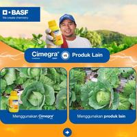 Gambar Insektisida Basf Cimegra 100SC 50ml Broflanilida 500g/l Pembasmi Hama Tanaman dari PUROTANI.ID Kab. Purworejo 3 Tokopedia