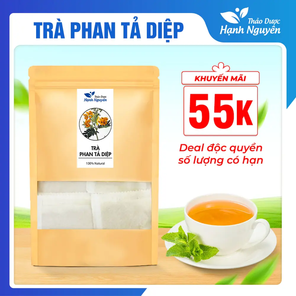 Trà lá phan tả diệp (Bịch 50 túi lọc) - Thảo dược Hạnh Nguyên