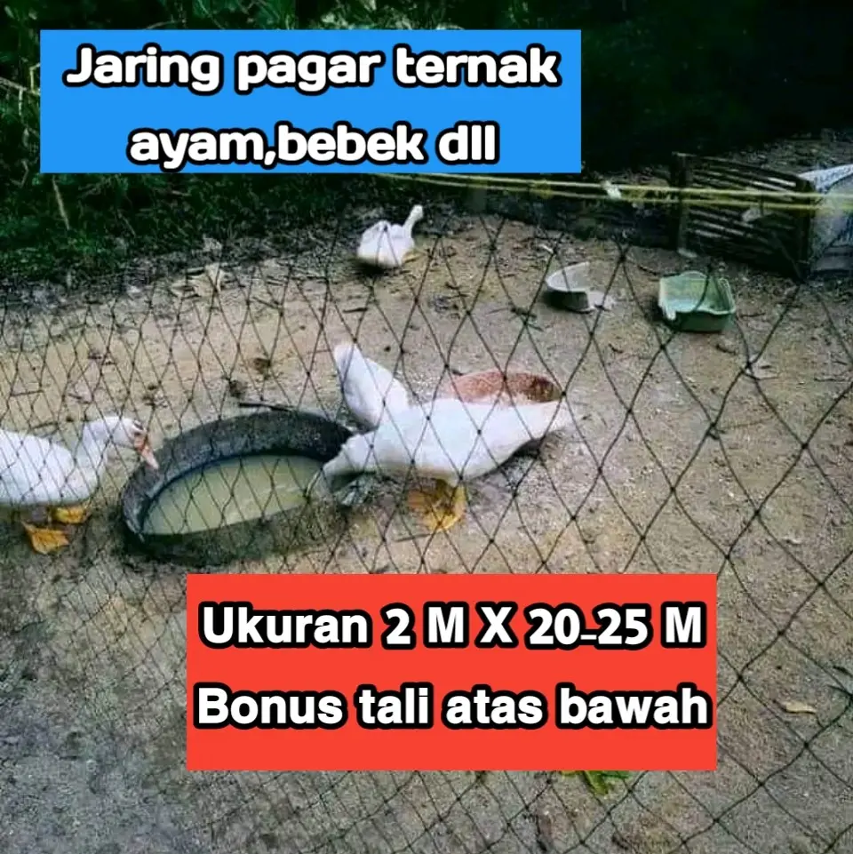 Jaring pagar Ayam,Bebek ukuran 2 M X 20 M lubang sekitar 3,5 - 4 Inci/Cm bonus tali tambang