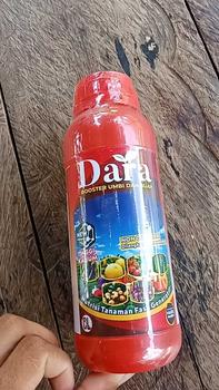 Product Review of DARA BOOSTER 500 ml - Pupuk Kalium Cair Pelebat Bunga dan Buah Tanaman, atasi  Daun Kuning, patek cabe, Daun bule from k**7 0
