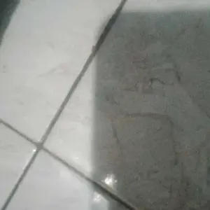 12pcs(1 lusin) GARPU MAKAN STAINLESS STEEL 18g DS 2