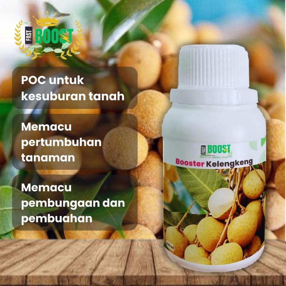 PUPUK KELENGKENG BOOSTER PERANGSANG BUAH TERBAIK AMPUH AGAR CEPAT BERBUAH LEBAT
