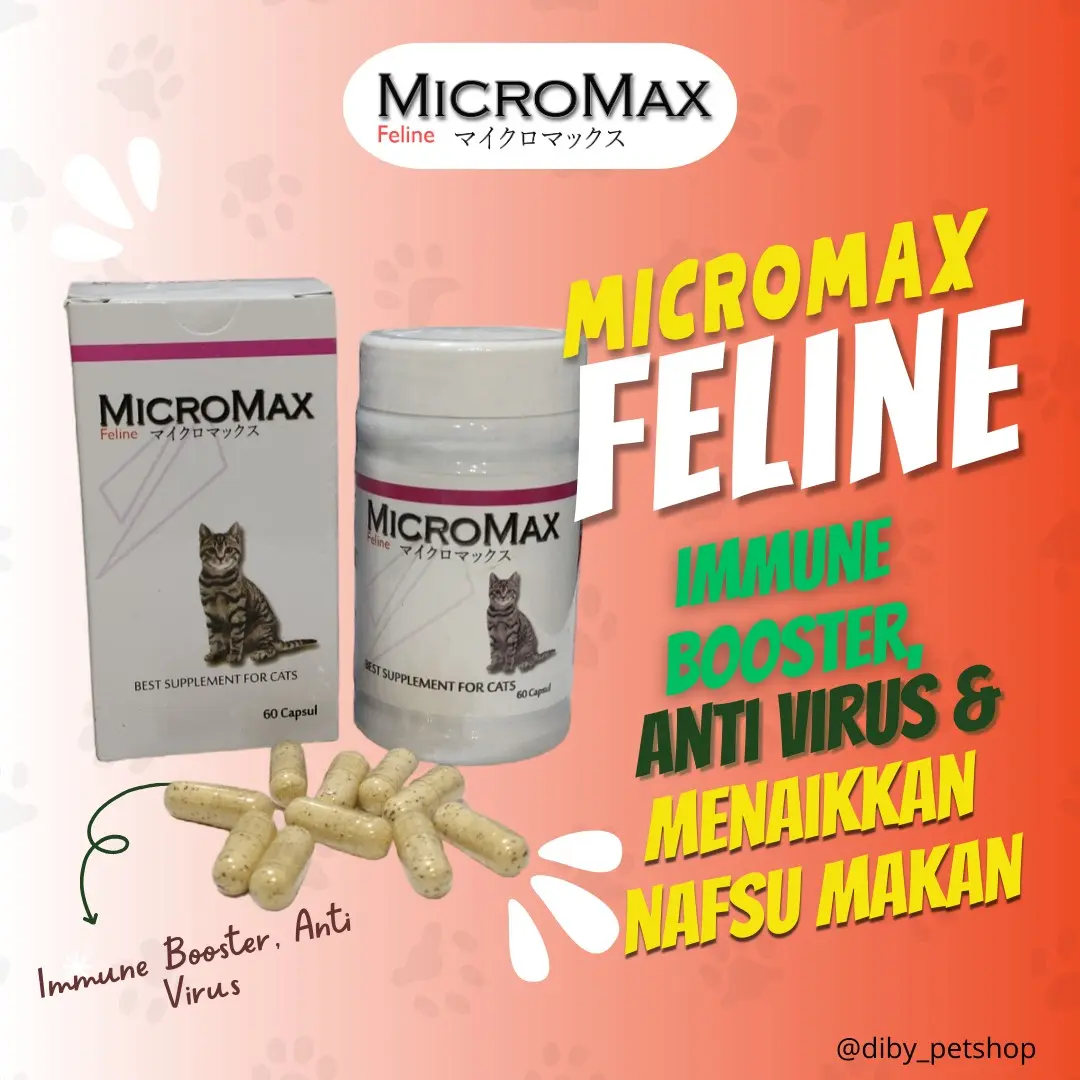 Micromax Feline 60 Kapsul