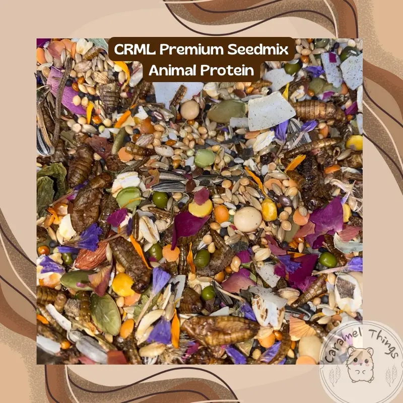 CRML Premium Seedmix | Makanan Premium Hamster | Vegetarian & Animal Protein | Syrian | Dwarf 2