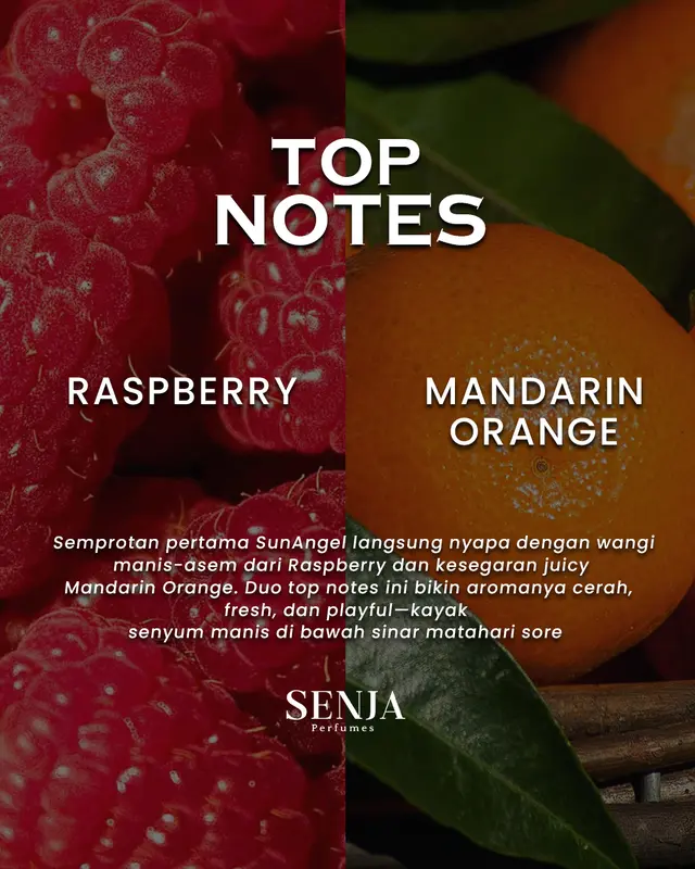 SUNANGELS by SENJA PERFUMES - Parfum Wanita Wangi Tahan Lama Aroma Bunga Segar Aroma Vanila Cewek mewah 3