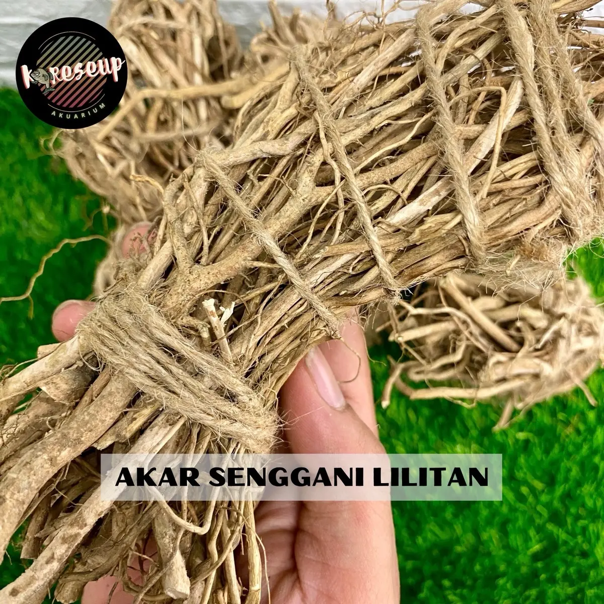 RANTING DAN BATANG AKAR SENGGANI LILITAN + LEM BAHAN BONSAI AQUASCAPE DAN HARDSCAPE HIASAN AQUARIUM