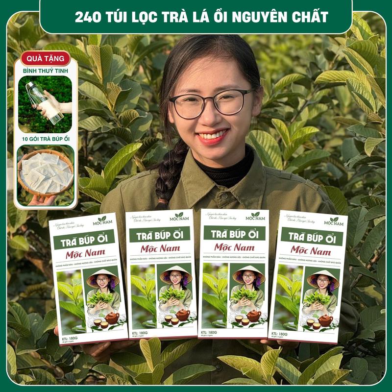 240 Túi Lọc Trà Lá Ổi Non Nguyên Chất Mộc Nam - [  Tặng bình nước pha trà + thêm 10 gói trà lá ổi ]