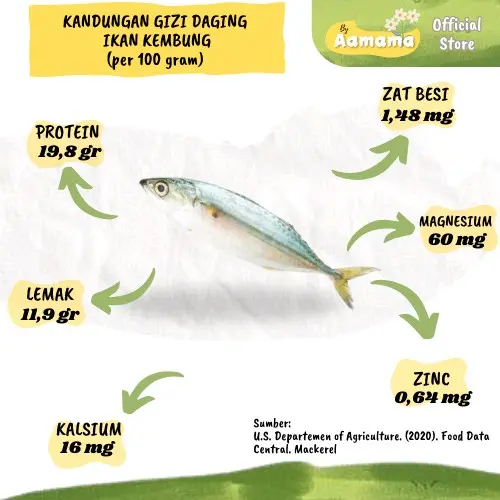 BY AAMAMA KREMESAN IKAN KEMBUNG NO MSG SOLUSI ANTI GTM 100 GRAM KREMESAN MPASI PREMIUM Bayi Anak-Anak 3