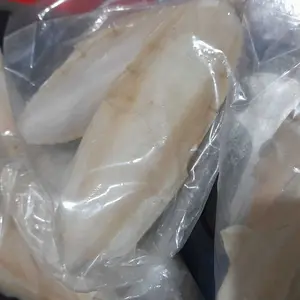 Tulang sotong paket goceng 4pcs size medium cocok untuk kalsium torto/reptil