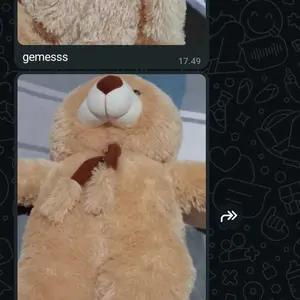 Boneka Tedy Bear Syal Telapak XL 70 cm