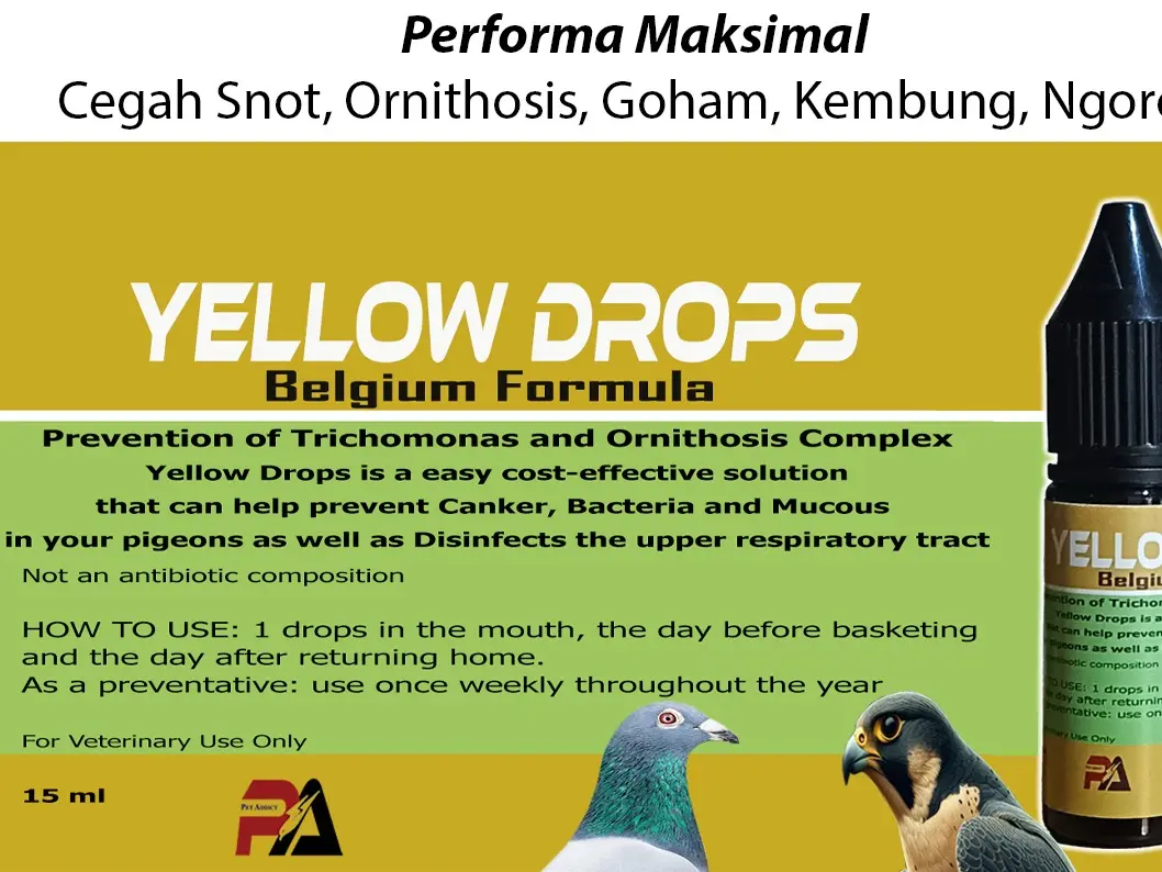 Yellow drops merpati raptor drop obat goham snot