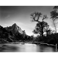 Gambar Roll Film Kodak Black & White Tmax Asa100 dari Instaxshop Kota Bandung 4 Tokopedia