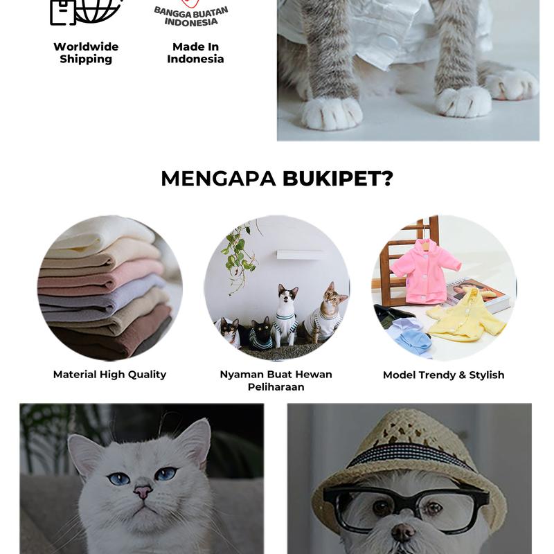 Product Introduction of Sendok Makan Kucing Sendok Snack Makanan Kucing Multi Fungsi - BUKIPET WET TREAT SPOON 29