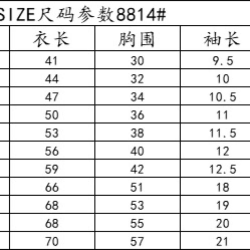 Boys Summer Trendy T-shirt Top Short sleeved Loose Pullover Versatile Thin Breathable Unisex Clothes Trendy softjeansbaby 8