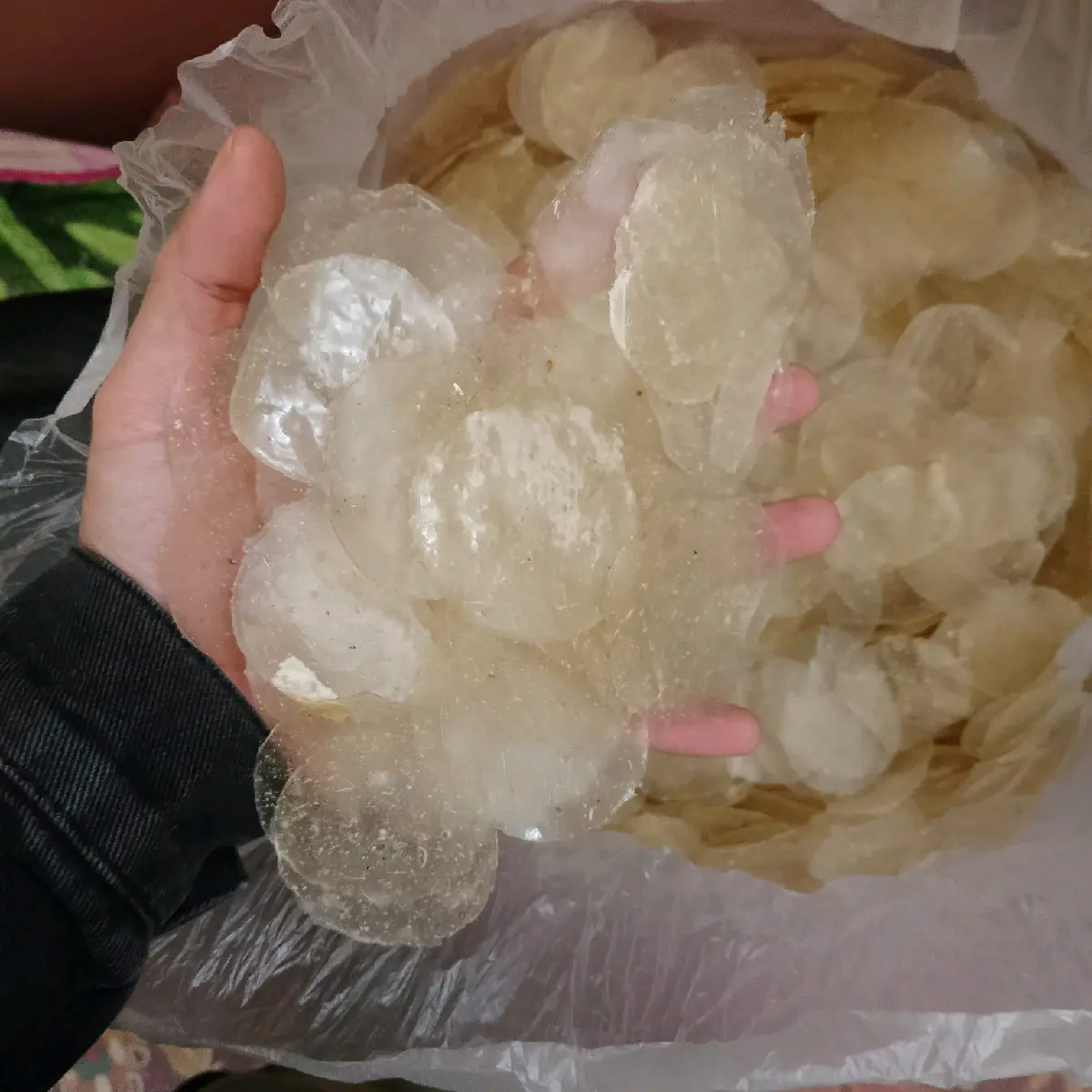 KRIPIK KACA KOIN BAHAN POLOSAN  UNTUK OLAHAN PABRIKAN PERTOKOAN WARUNG
