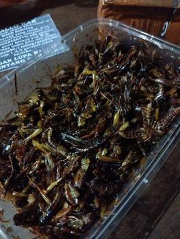 Product Review of belalang utis/belang kecil dpet 1box from k**6 0