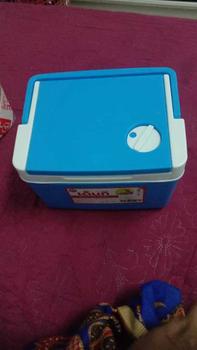 Product Review of DRAGONWARE Thailand Denki Ice Cooler / Cooler Box / Picnic Box / Rice Bucket / Tong Ais / Kotak Ais 2L 3L 5L 11L 20L from N**🇾 0