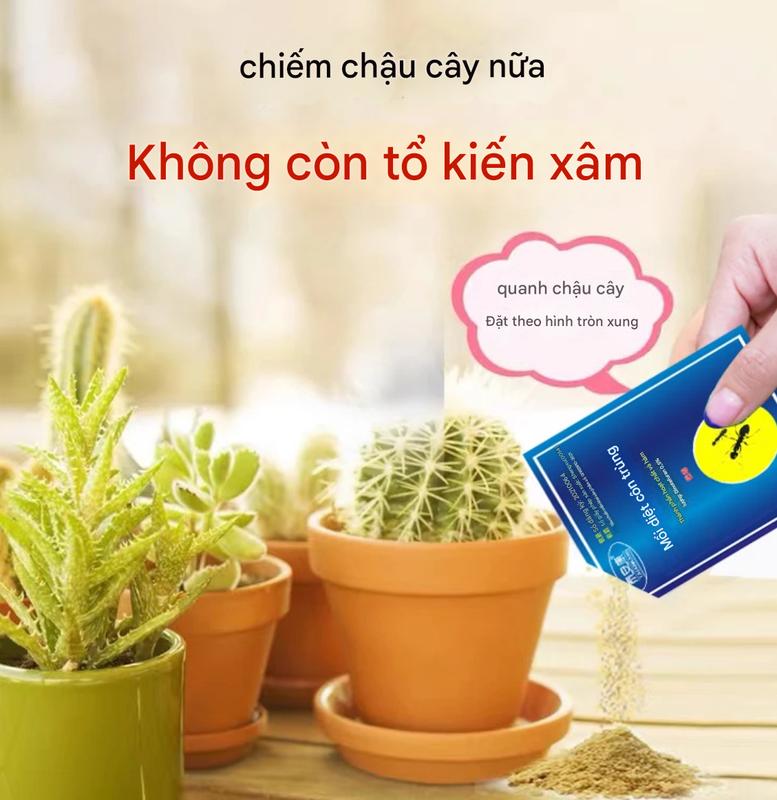 mồi diệt kiến Áp dụng cho tất cả các loài kiến Kiểm soát dịch hại Nó có thể giết chết tất cả các loại kiến. Nếu một con kiến ​​lây nhiễm cho cả bộ tộc, chúng sẽ không thể thoát được. 2