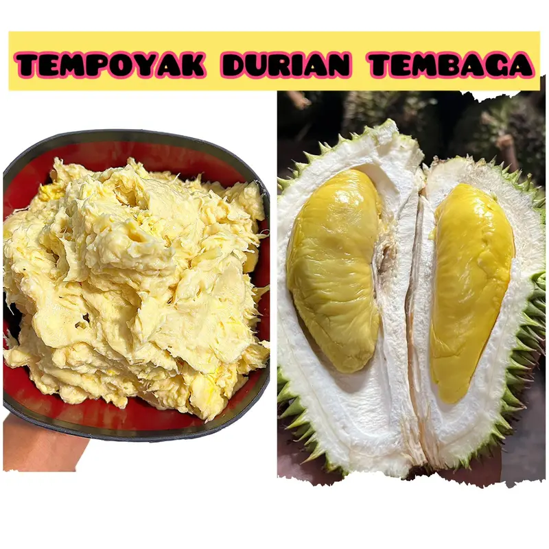 TEMPOYAK DURIAN KALIMANTAN 500 GRAM SEGAR DAN BARU 3