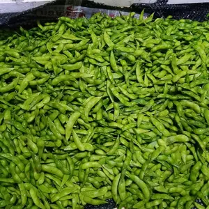 kacang Edamame /kacang jepang kualitas super Makanan Cemilan organik Protein Bar kacang mete plastik merah crunch pilihan yang lebih sehat ayam lokal Poetri Bali seafood paket pistachio