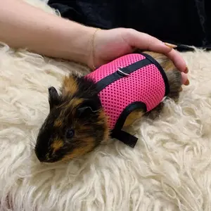 Summer Guinea Pig Hamster Ferret Leash Breathable Mesh Rabbit Pet Harness Bunny Accessories for Cats Cosas Para Animales Reales - Black L-suit 0.7-1.5kg 200007763:201336100