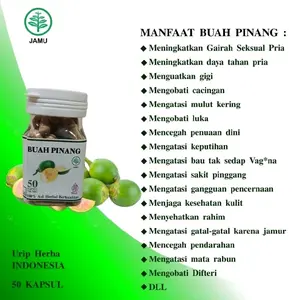 HERBALUV Kapsul Herbal Buah Pinang Muda Asli 100% Tanpa Kimia & Pengawet Isi 50 Kapsul 500mg Halal MUI Sertifikasi 00170012700600