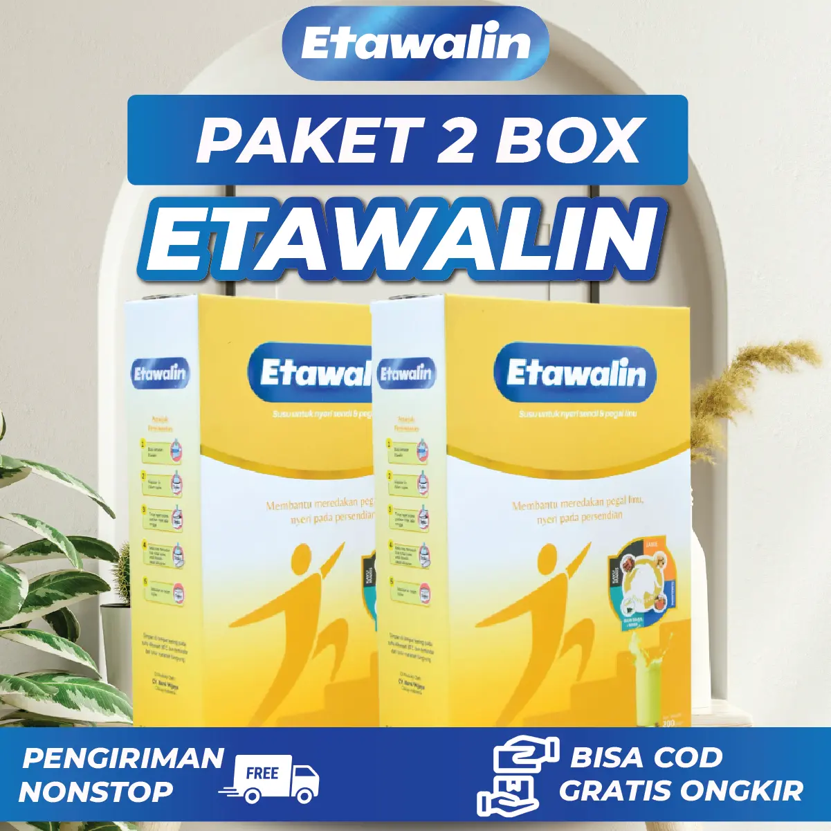2 Box Susu Etawalin Original Asli Official Susu Kambing EtawaHalal BPOM 200 Gram