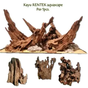 kayu rentek untuk hiasan aquarium dan aquascape atau reptil