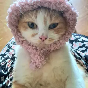 Topi Kucing Anjing Motif Beruang kelinci Lucu Bahan Lembut dan Nyaman untuk Hewan Peliharaan Anda