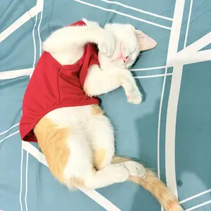 Baju Kucing Lucu “TAHANAN RUMAH”  | Outfit Kucing Anti Galau, Adem, & Stylish – Banyak Warna Pilihan!