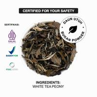 Gambar Haveltea White Peony Tea - 100% Pure Teh Putih Premium Grade - Teh celup 15x2g - Kaleng 10 TB dari HAVELTEA Kota Administrasi Jakarta Selatan 3 Tokopedia