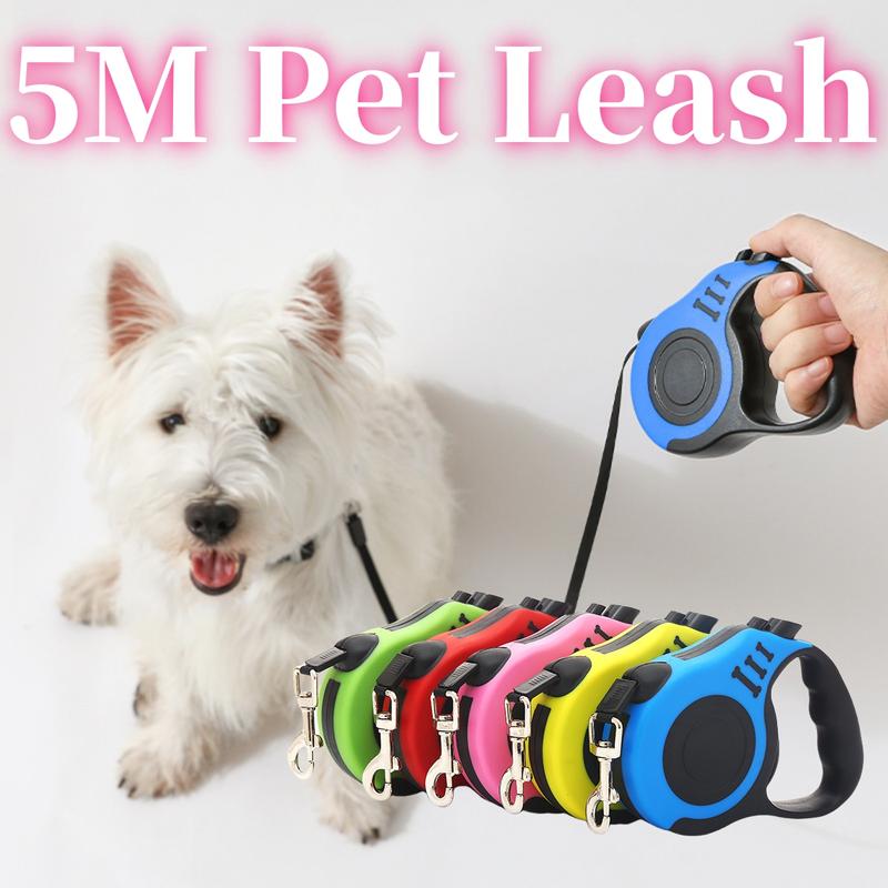 Product Introduction of [BUY 1  TAKE 1 ]5M Pet Leash For Small Dog Cat Nylon Retractable Roulette Automatic Extending Traction Rope 10