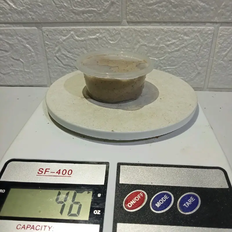 GETAH PULUT BERAT  G5 (41 geram) 2
