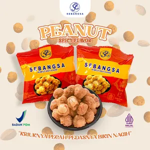 SEBANGSA KACANG BERSALUT RASA SPICY HALAL BPOM 20 GR