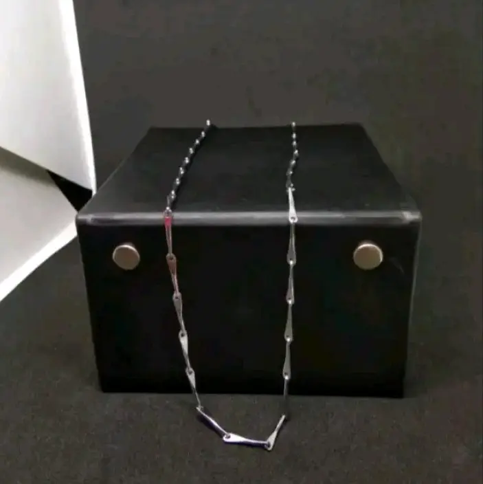 Kalung Titanium Model Bulir Padi Kecil Silver untuk Pria dan Wanita 4