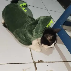 baju dinosaurus - baju hoodie pakaian hewan kucing anjing baju kucing baju anjing baju  kucing