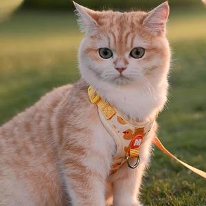 散歩  グッズ 犬 服 ハーネス ベスト 背中開き 胴輪 けん引 おしゃれ かわいい 人気 可愛い メッシュフィット 通気性抜群 軽い ペットウェア 女の子 男の子 プレゼント インスタ映え  ショップ  バッグ  散歩